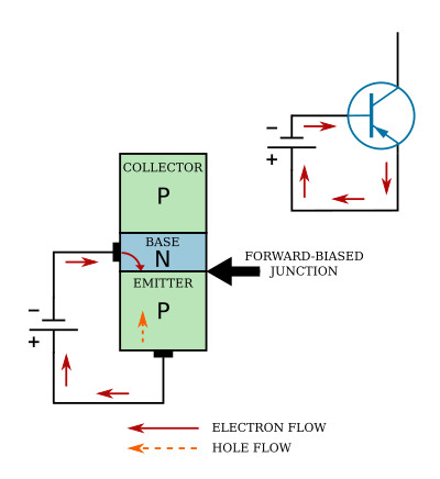 The forward-biased junction in a PNP transistor