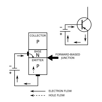 The forward-biased junction in a PNP transistor
